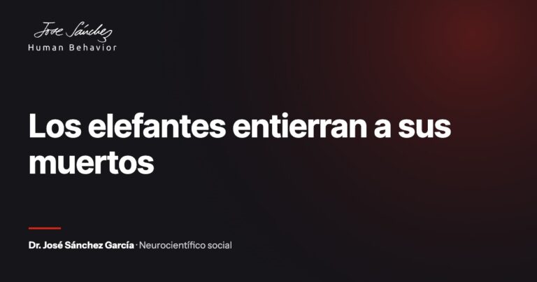 Los elefantes entierran a sus muertos